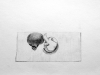 image002