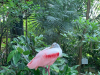 image014