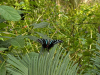 image019