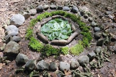 Landart: Kunst im Wald (S1) - 23.4.25